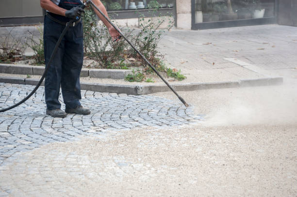 Animal Enclosure Cleaning in Americus, GA